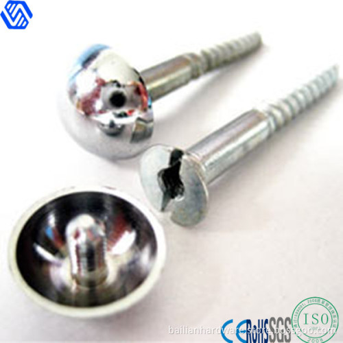 Mirror Screw